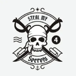 Steal My Secrets 4 by Dave Kaminski, Web Video University