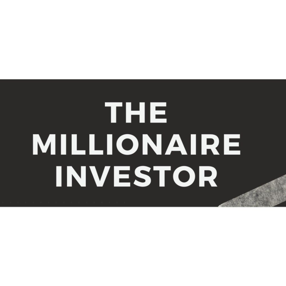 The Millionaire Investor by Nicole Victoria - Image 2