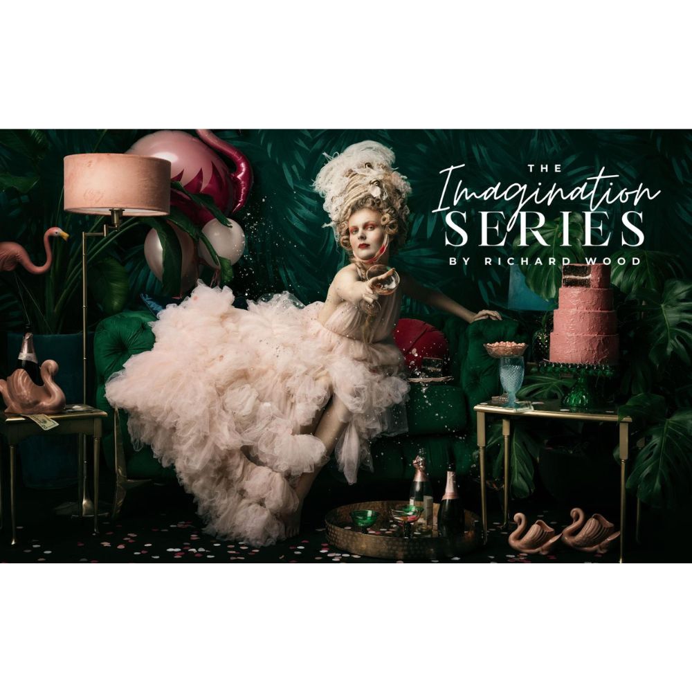 The Imagination Series by Richard Wood, The Portrait Masters