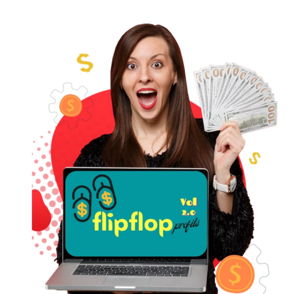 Flip Flop Profits Vol 2 by Demetris Papadopoulos