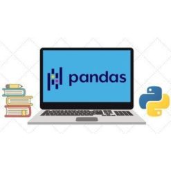 The Ultimate Pandas Bootcamp: Advanced Python Data Analysis by Andy Bek