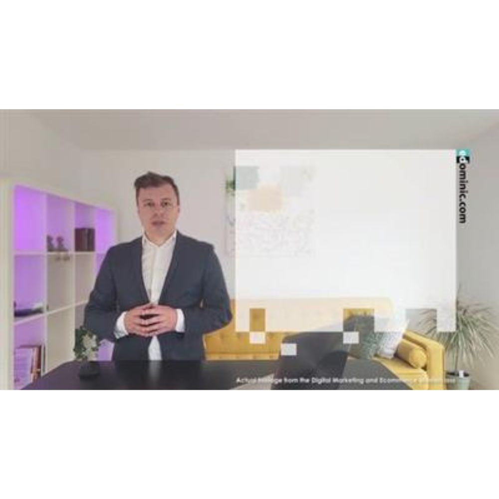 The Pro Digital Marketing and Ecommerce Masterclass by Dominic Amariei