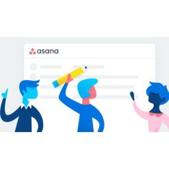 Asana Project Management Mastery – Beginner To Advanced User by Online Sellers Circle