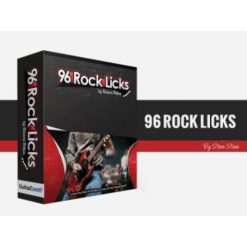 Real World Soloing, 96 Rock Licks, Ear Training by Steve Stein & Dan Denley
