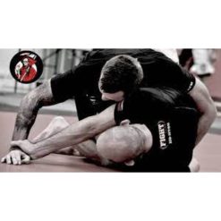 Jiu Jitsu Escapes That Work 2 by Gavin Hain