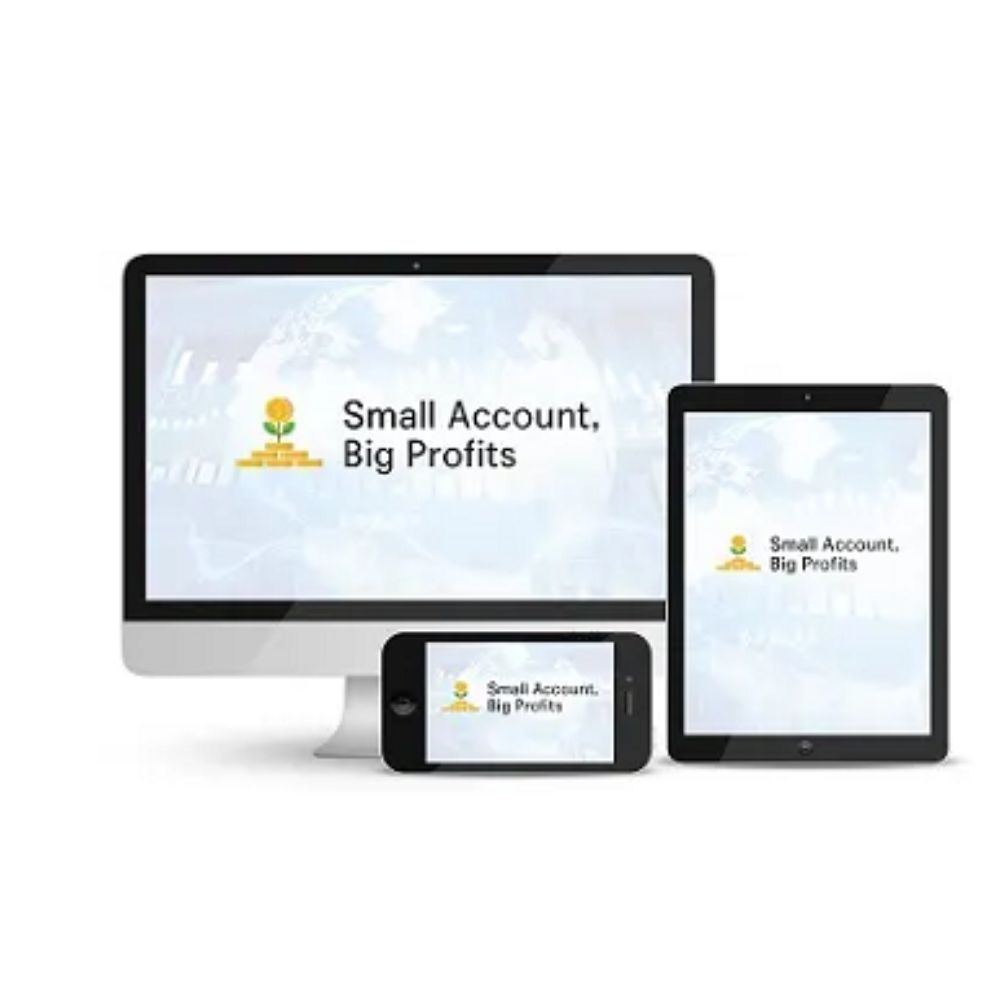 Small Account Big Profit by Walter Peters