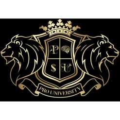 Youtuber Pro University by Philipe Reis
