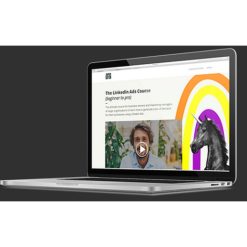 The LinkedIn Ads Course by Super Lumen