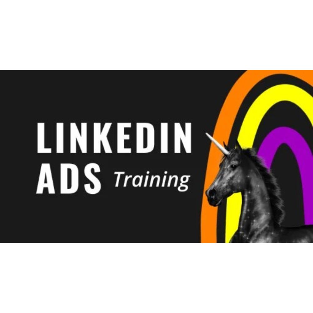The LinkedIn Ads Course by Super Lumen - Image 2