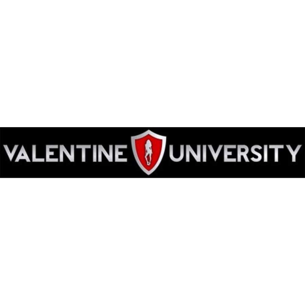 Valentine University 2.0 by Todd Valentine