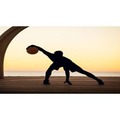 The Ultimate Ball Control Bootcamp: Basketball Training by Educational Technology, Sport & Health Solutions
