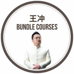 王冲 19 Video Courses