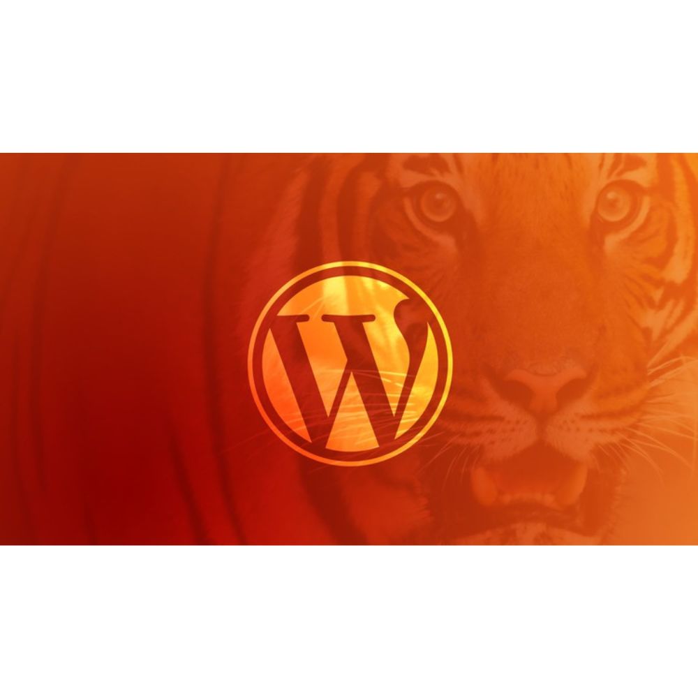 Become a WordPress Developer: Unlocking Power With Code by Brad Schiff
