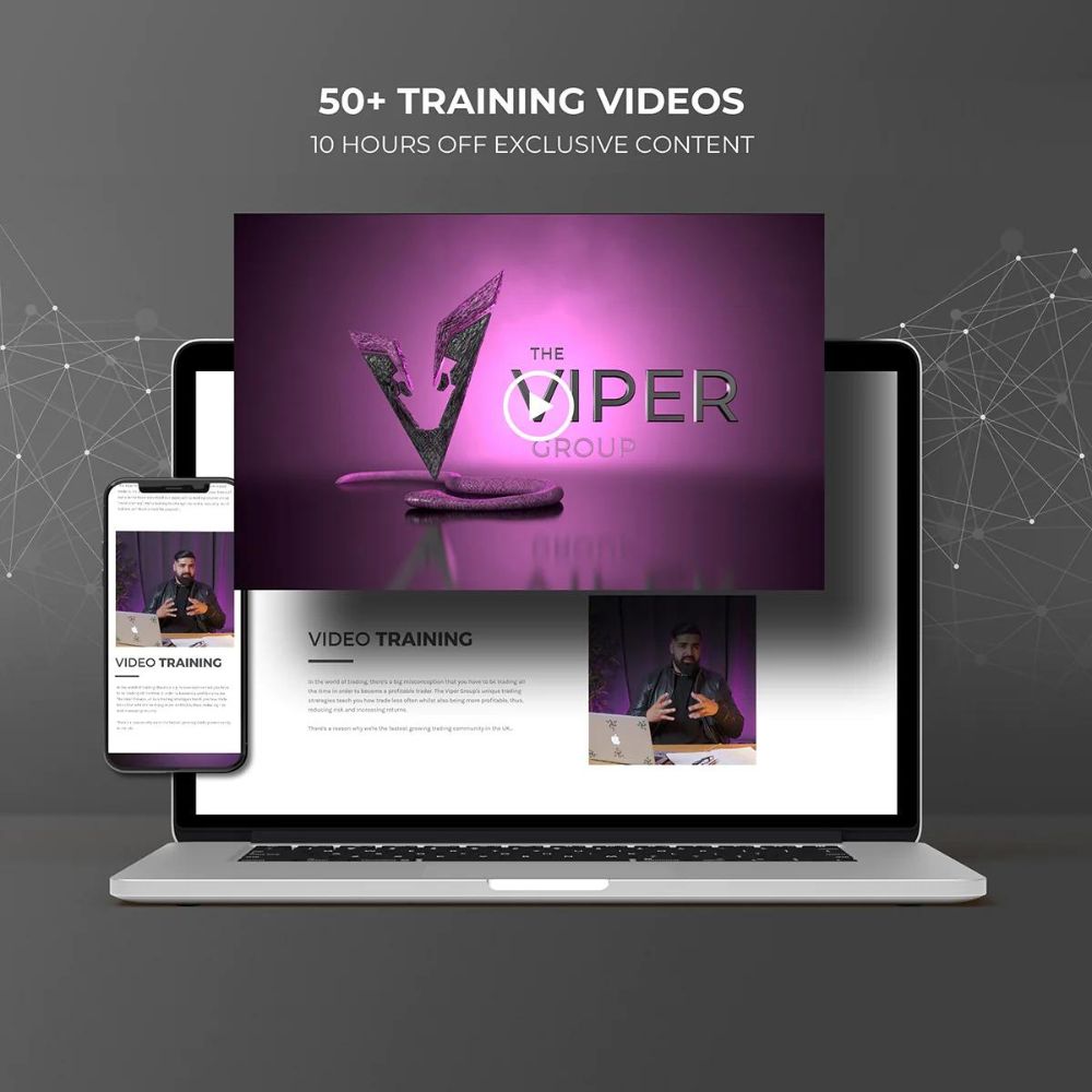 The Viper Advanced Program - Image 2
