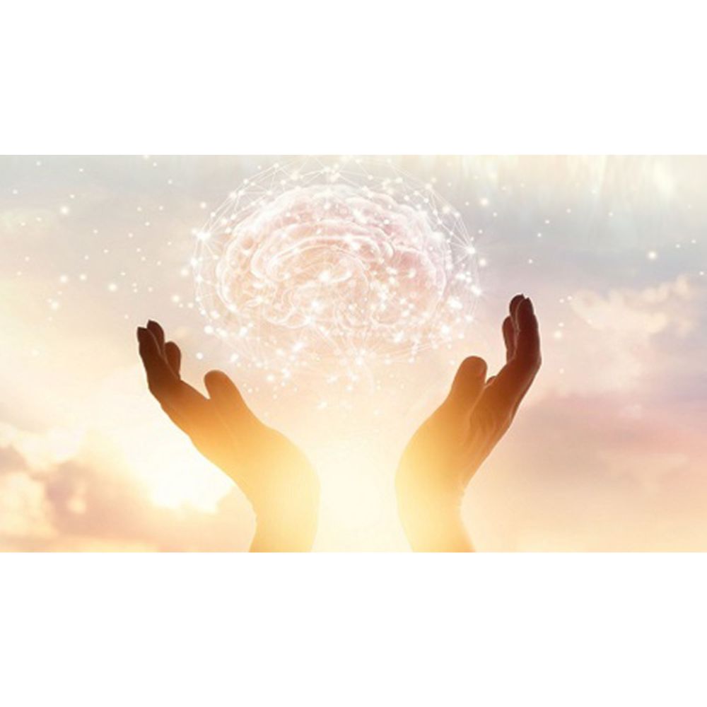 Emotional Mastery 5-Day Challenge w Shadow Work Principles by Benjy Sherer