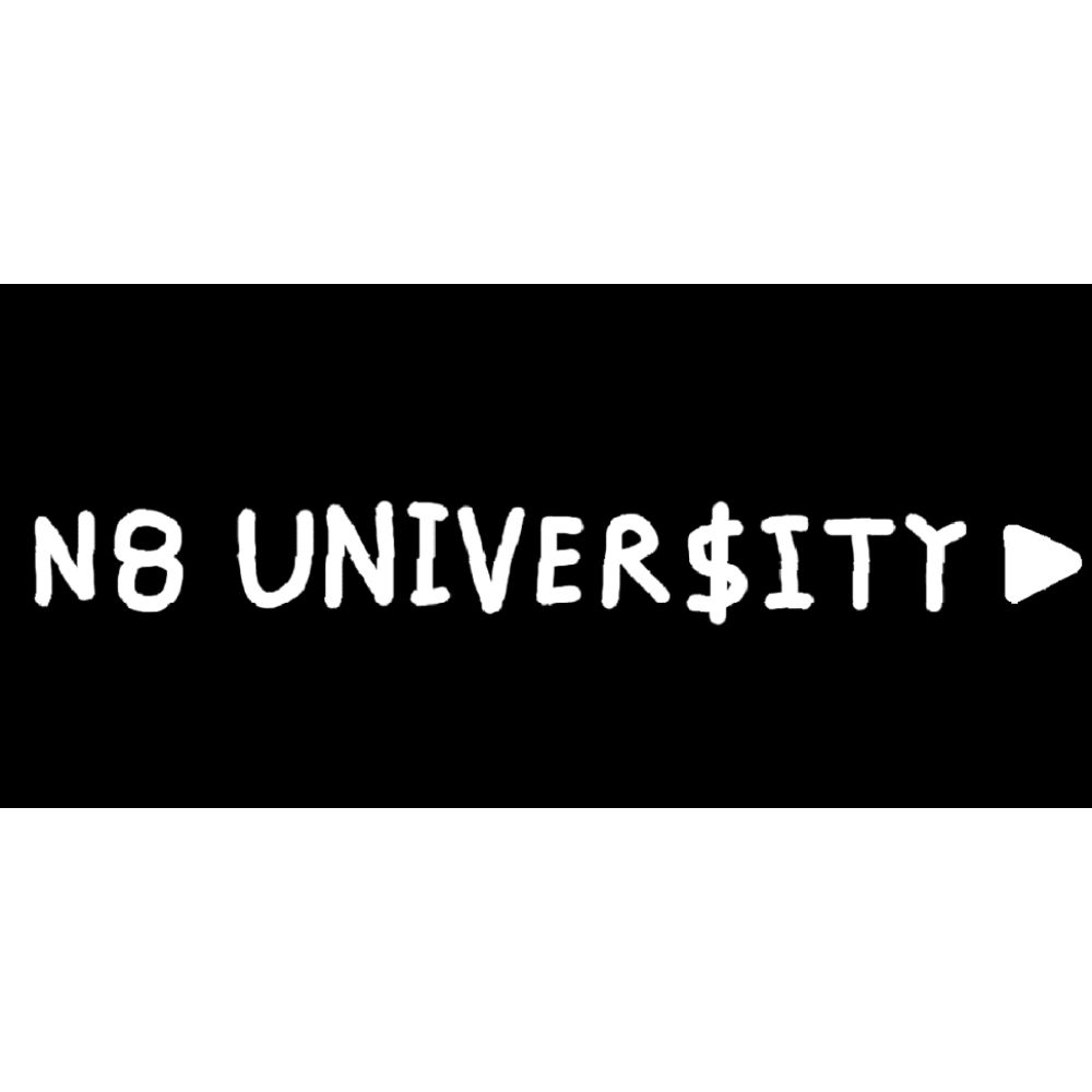 Become a Full-Time YouTuber by N8 University - Image 2