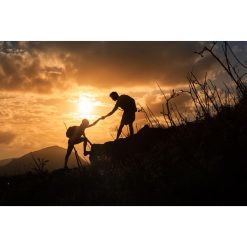 Agency Cultivation by Bastiaan Slot
