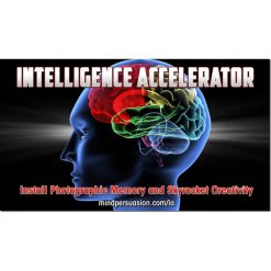Intelligence Accelerator by George Hutton