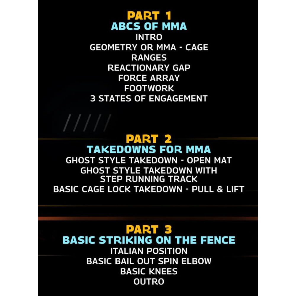 Championship MMA Cage Striking And Wrestling by Greg Jackson - Image 2