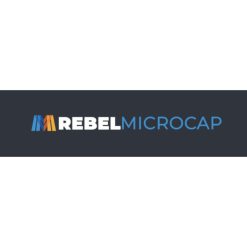Rebel MicroCap Program by Sean Donahue