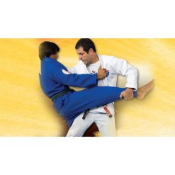 Brazilian Jiu Jitsu Techniques Vol. 1 - Throws and Takedowns by Sport Videos