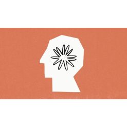Generative AI for Startups: Anthropic Claude 3.5 Python API by Arun Prakash