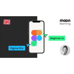 NEW Figma 2024: Getting started the Beginner to Pro Class by Christine