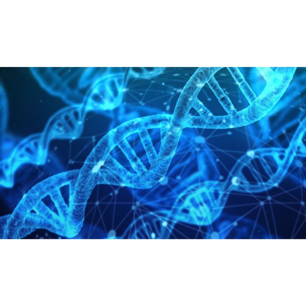 Genetics and Next Generation Sequencing for Bioinformatics by Shreeya Kumaresan