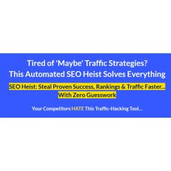 Traffic Thief