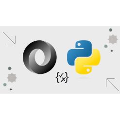 The Ultimate JSON With Python Course + JSONSchema & JSONPath by Andy Bek