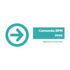Camunda BPM Beginners to Advance by Arindam Mukherjee