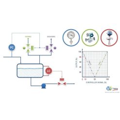 Introduction to process control and instrumentation by WR Training