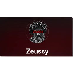 ZEUSSY Mentorship