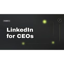 LinkedIn for CEOs by Matt Gray
