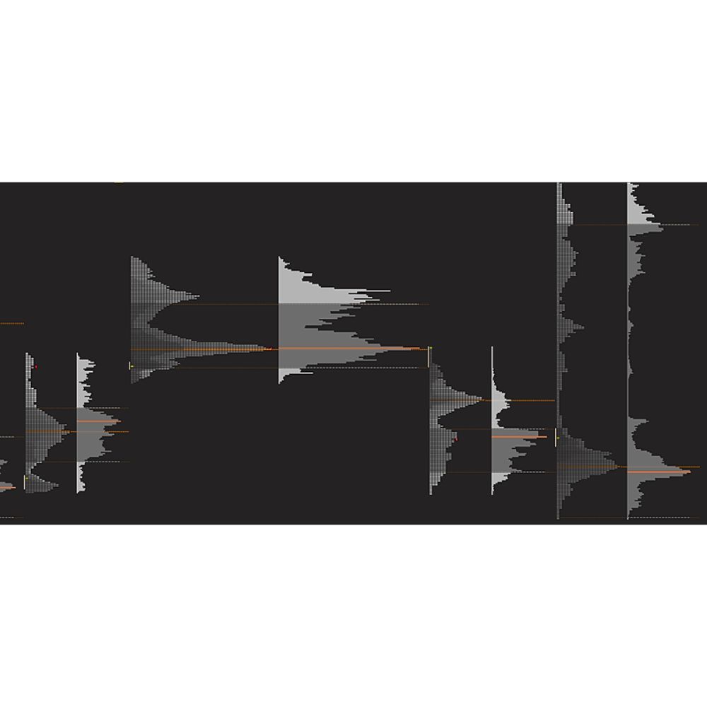 Trading with Market and Volume Profile by Price Action Volume Trader - Image 2