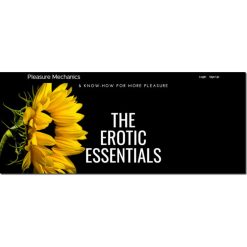 The Erotic Essentials by Pleasure Mechanics