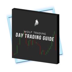Day Trading Guide by Wolf Trading