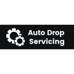Auto Drop Servicing by Ricky Mataka