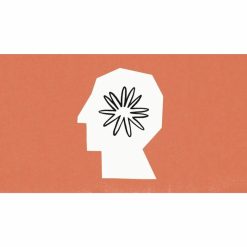 Generative AI for Startups: Anthropic Claude 3.5 Python API by Arun Prakash