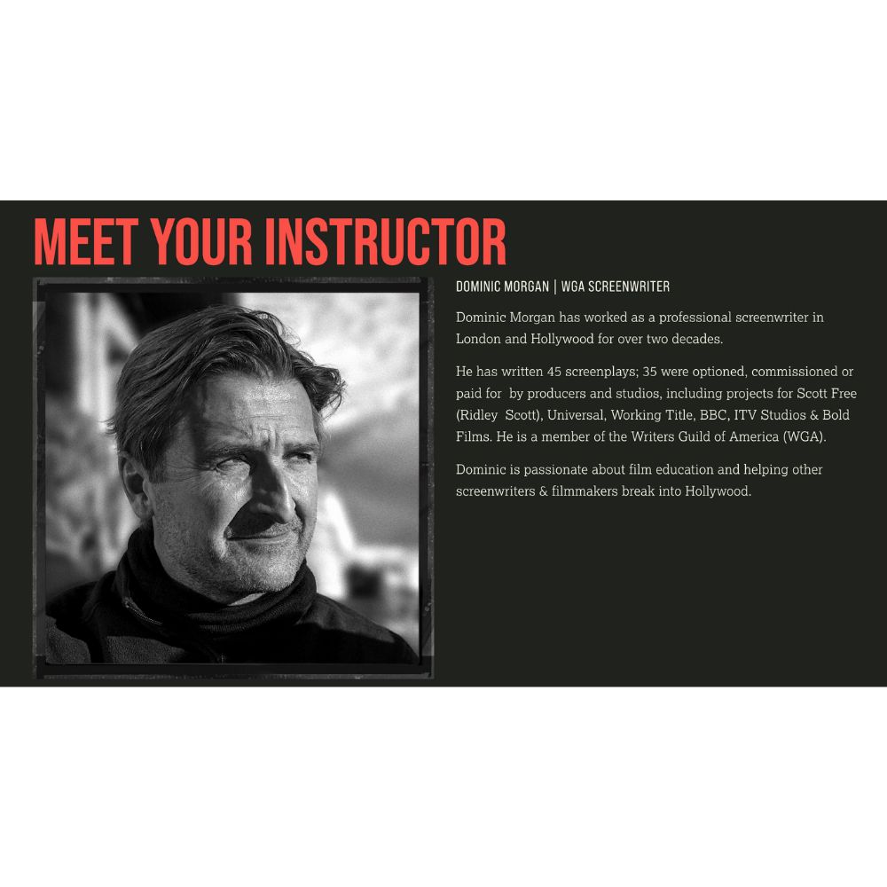 The Scriptfella Program by Dominic Morgan - Image 2