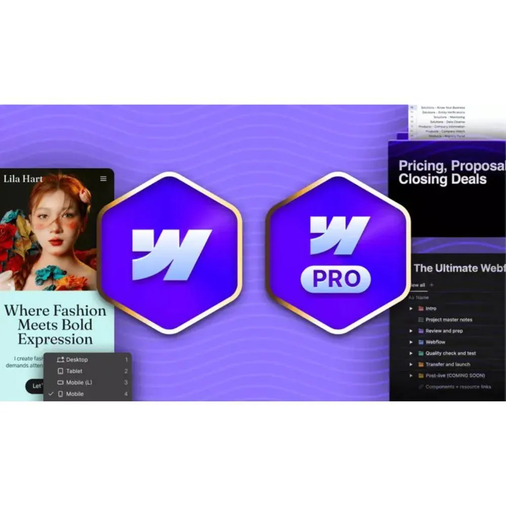 Webflow Masterclass 5.1 Pro by Ran Segall