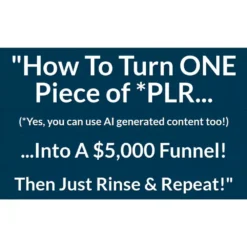 $5K PLR And AI Strategy by Tony Shepherd